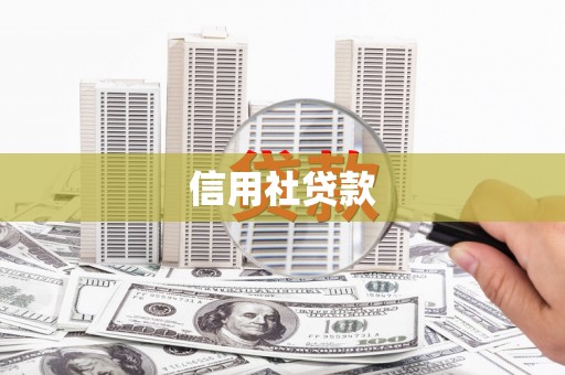 临西信用社贷款