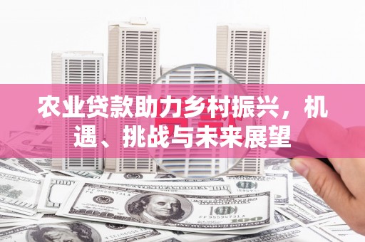 临西农业贷款助力乡村振兴，机遇、挑战与未来展望