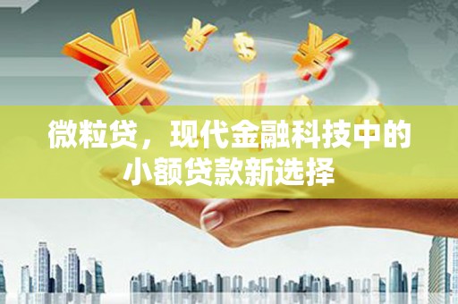 临西微粒贷，现代金融科技中的小额贷款新选择