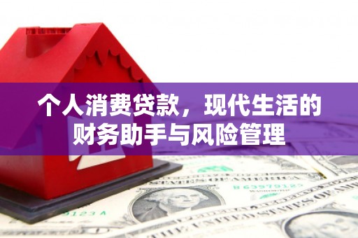 临西个人消费贷款，现代生活的财务助手与风险管理