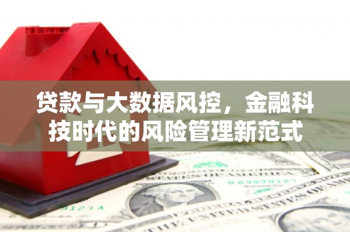 临西贷款与大数据风控，金融科技时代的风险管理新范式