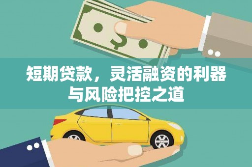 临西短期贷款，灵活融资的利器与风险把控之道