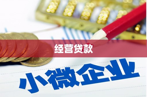 临西经营贷款