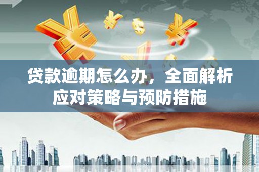 临西贷款逾期怎么办，全面解析应对策略与预防措施