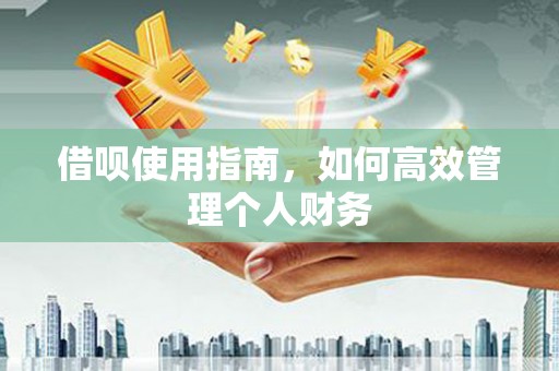 临西借呗使用指南，如何高效管理个人财务