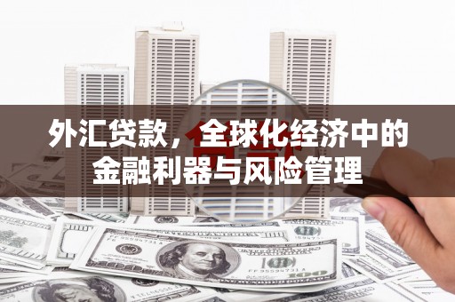临西外汇贷款，全球化经济中的金融利器与风险管理