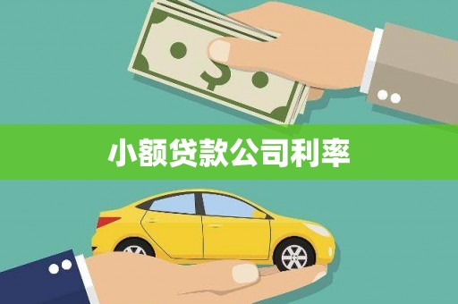 临西小额贷款公司利率