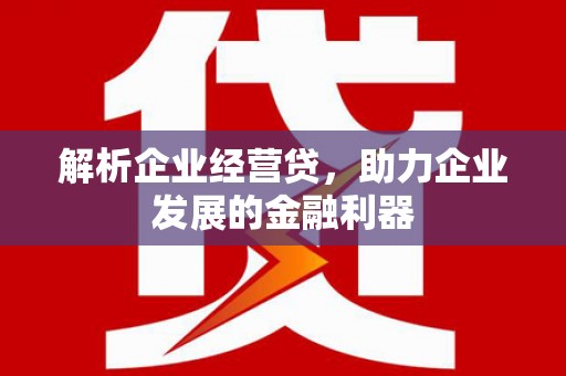 临西解析企业经营贷，助力企业发展的金融利器