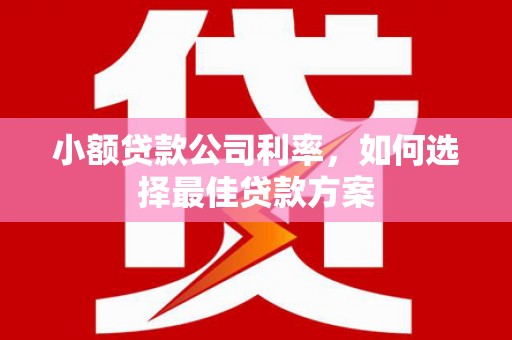 临西小额贷款公司利率，如何选择最佳贷款方案