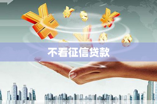 临西不看征信贷款