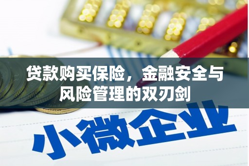 临西贷款购买保险，金融安全与风险管理的双刃剑
