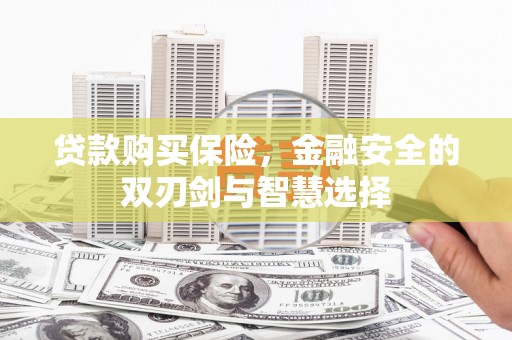临西贷款购买保险，金融安全的双刃剑与智慧选择
