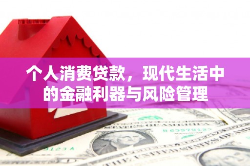 临西个人消费贷款，现代生活中的金融利器与风险管理