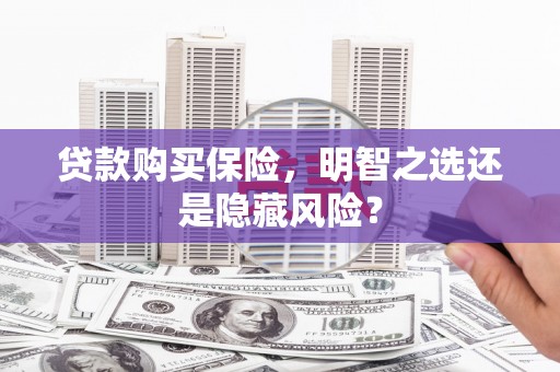 临西贷款购买保险，明智之选还是隐藏风险？