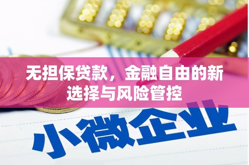 临西无担保贷款，金融自由的新选择与风险管控