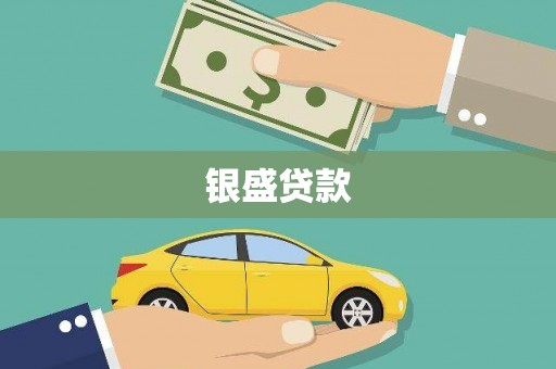 临西银盛贷款