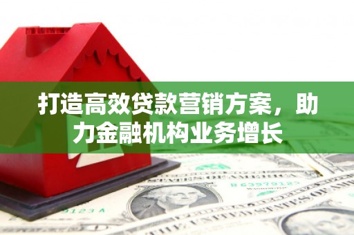 临西打造高效贷款营销方案，助力金融机构业务增长