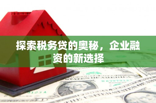 临西探索税务贷的奥秘，企业融资的新选择