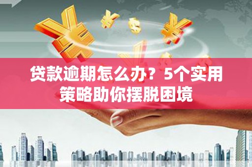 临西贷款逾期怎么办？5个实用策略助你摆脱困境