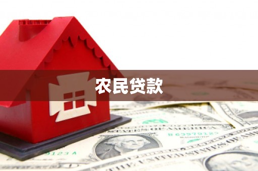 临西农民贷款