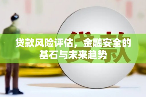 临西贷款风险评估，金融安全的基石与未来趋势