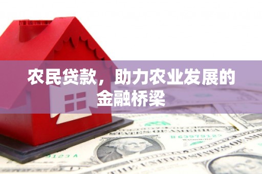 临西农民贷款，助力农业发展的金融桥梁