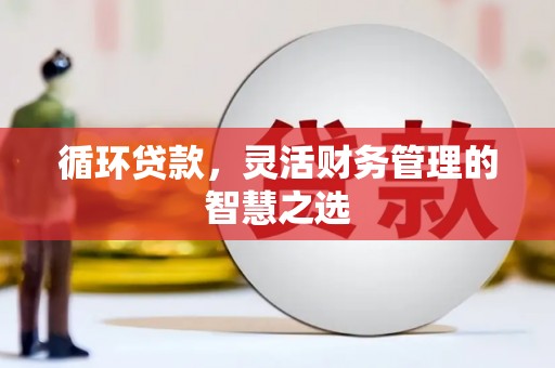 临西循环贷款，灵活财务管理的智慧之选
