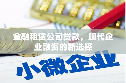 临西金融租赁公司贷款，现代企业融资的新选择