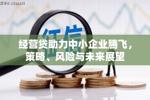 临西经营贷助力中小企业腾飞，策略、风险与未来展望