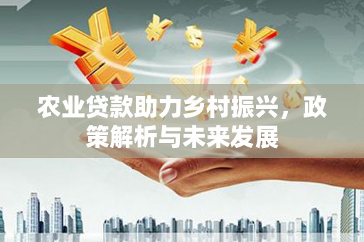 临西农业贷款助力乡村振兴，政策解析与未来发展