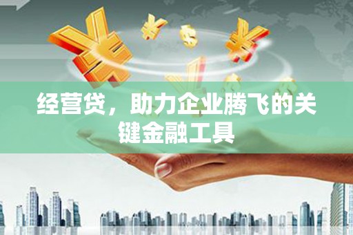 临西经营贷，助力企业腾飞的关键金融工具