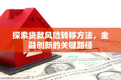 临西探索贷款风险转移方法，金融创新的关键路径