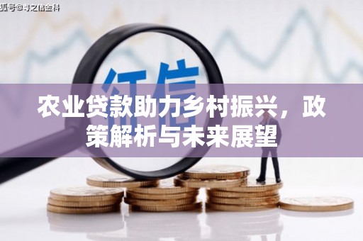 临西农业贷款助力乡村振兴，政策解析与未来展望