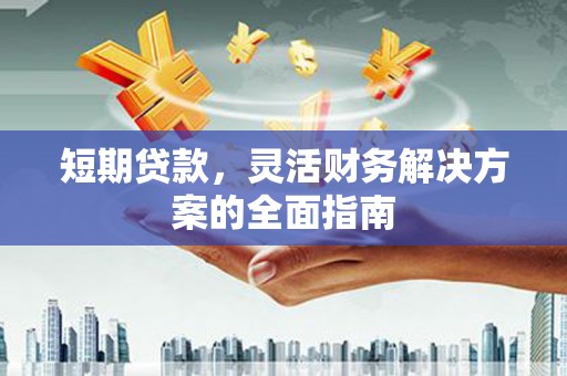 临西短期贷款，灵活财务解决方案的全面指南