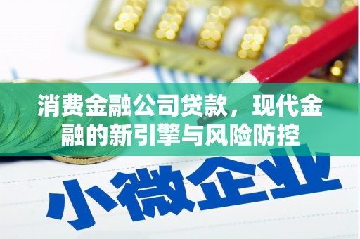 临西消费金融公司贷款，现代金融的新引擎与风险防控