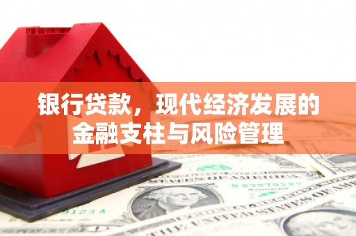 临西银行贷款，现代经济发展的金融支柱与风险管理