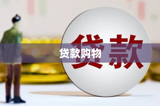 临西贷款购物