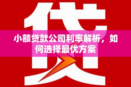 临西小额贷款公司利率解析，如何选择最优方案