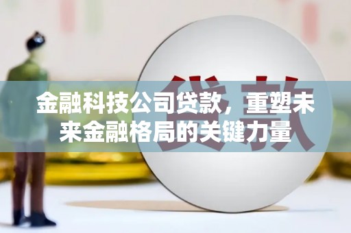 临西金融科技公司贷款，重塑未来金融格局的关键力量