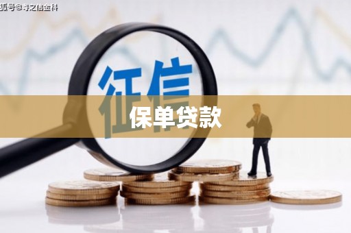 临西保单贷款