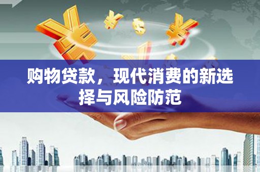 临西购物贷款，现代消费的新选择与风险防范