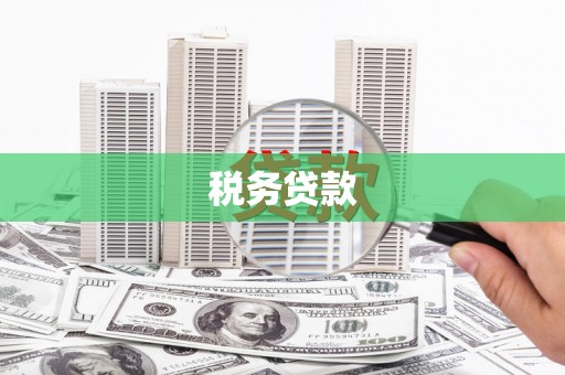 临西税务贷款