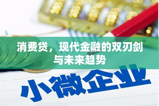 临西消费贷，现代金融的双刃剑与未来趋势