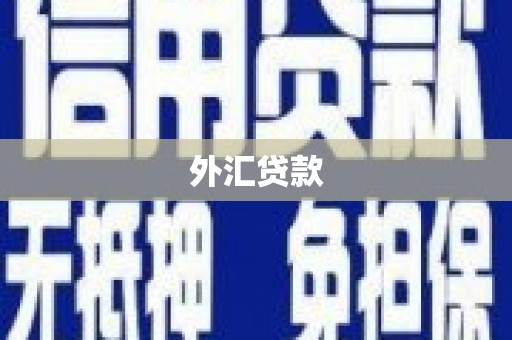 临西外汇贷款