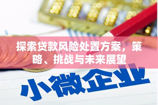 临西探索贷款风险处置方案，策略、挑战与未来展望