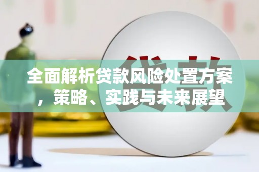 临西全面解析贷款风险处置方案，策略、实践与未来展望