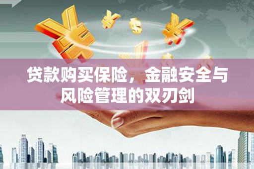 临西贷款购买保险，金融安全与风险管理的双刃剑
