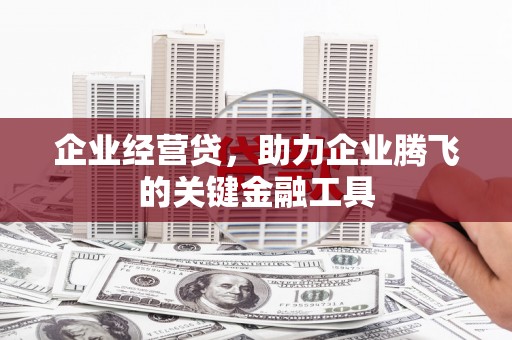 临西企业经营贷，助力企业腾飞的关键金融工具