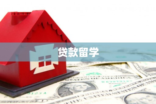 临西贷款留学
