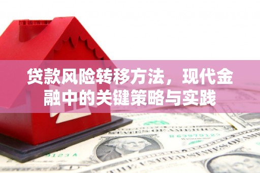 临西贷款风险转移方法，现代金融中的关键策略与实践